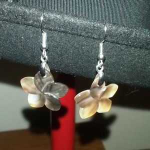 Hawaiian Shell Earrings Plumeria?